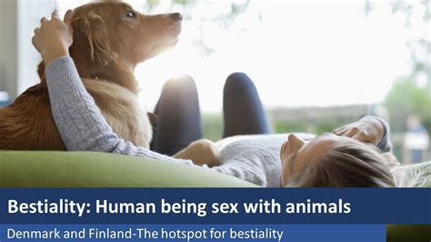 animal sex mp4|Free Animal Porn Videos and Bestiality Clips